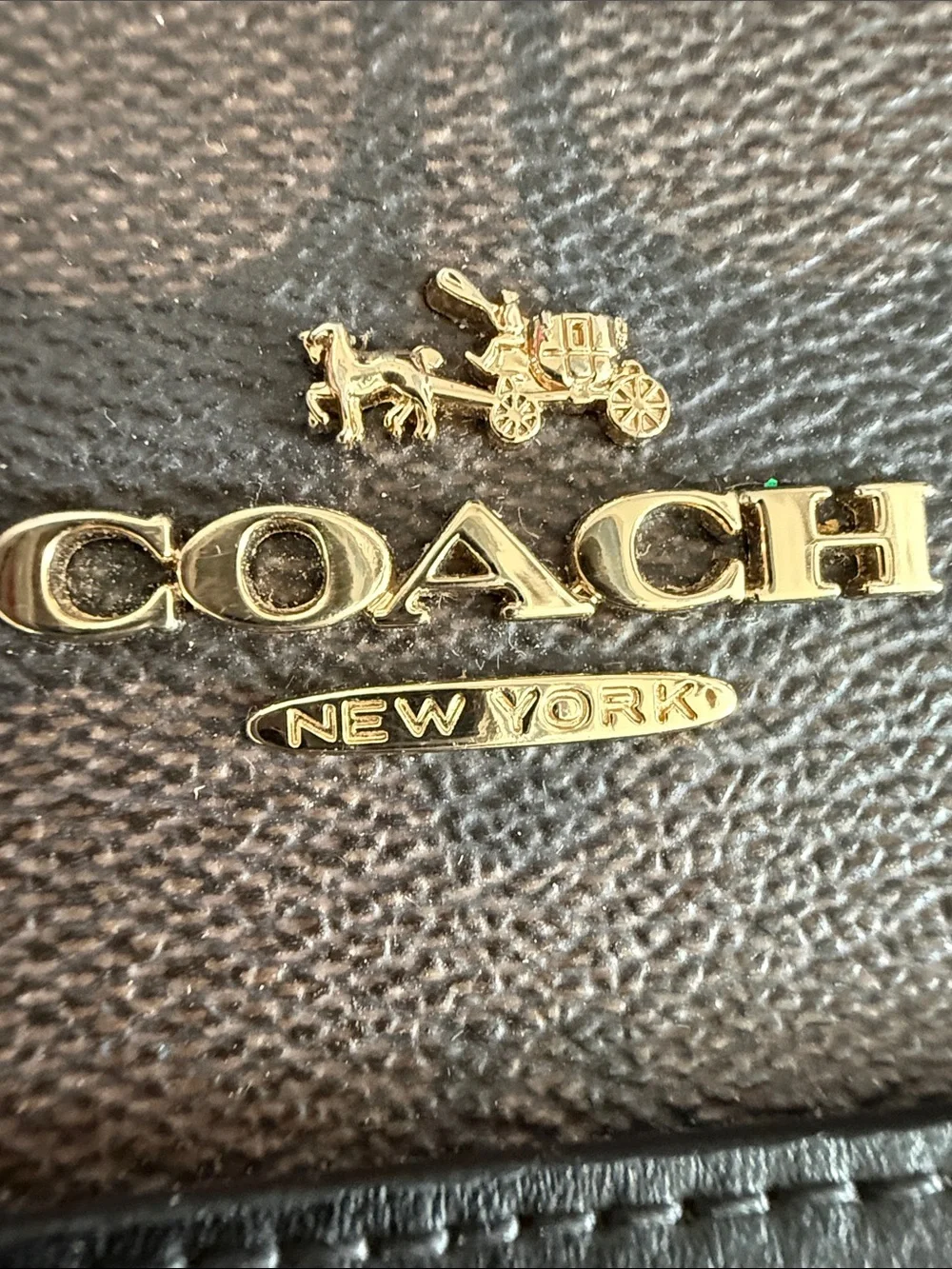 Coach mini sierra